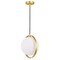 Cwi Lighting Da Vinci 1 Light Mini Pendant With Brass Finish 1153P10-1-169 - alternate 1